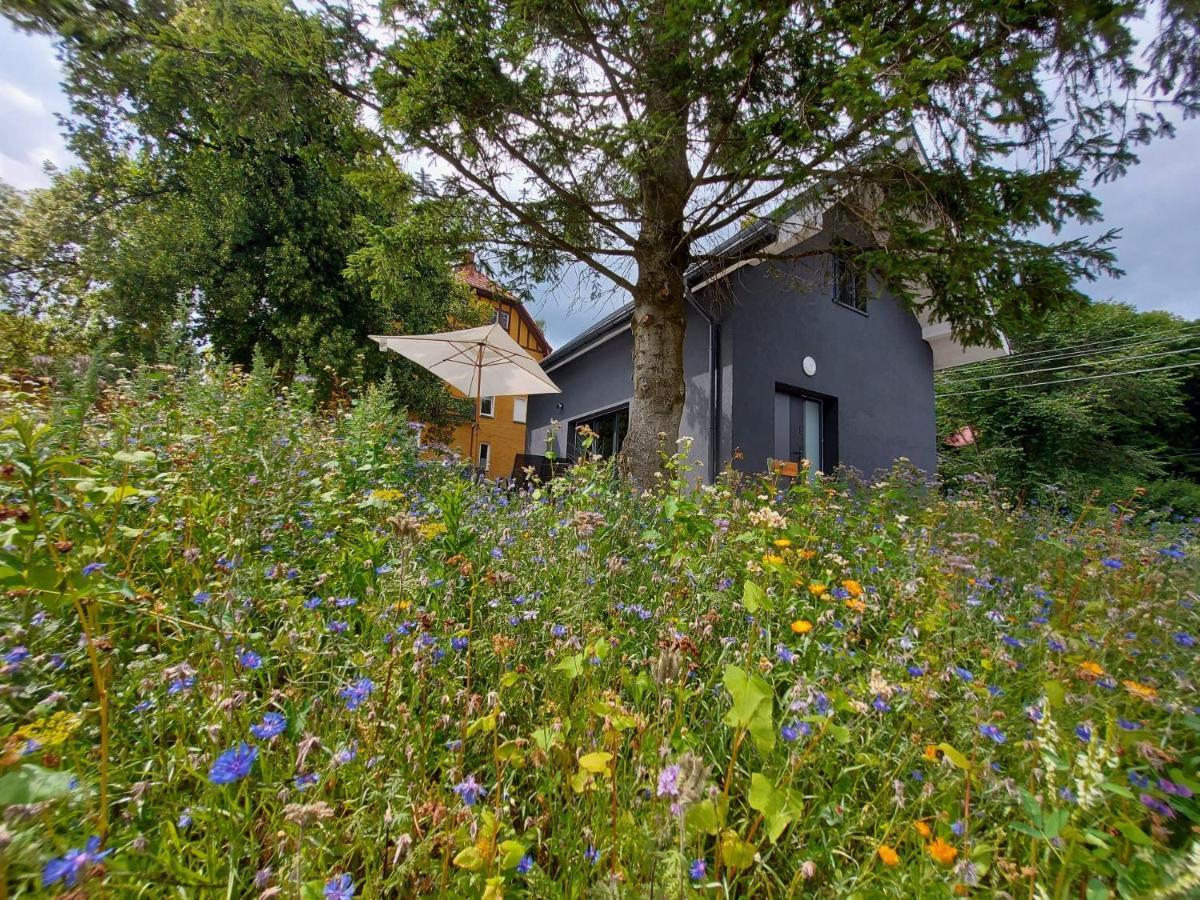 Bryziowka B Villa Miłków Exteriör bild