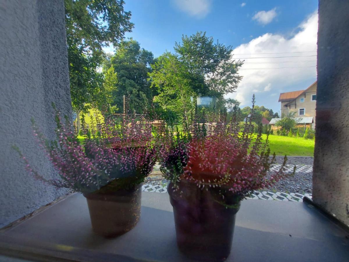 Bryziowka B Villa Miłków Exteriör bild
